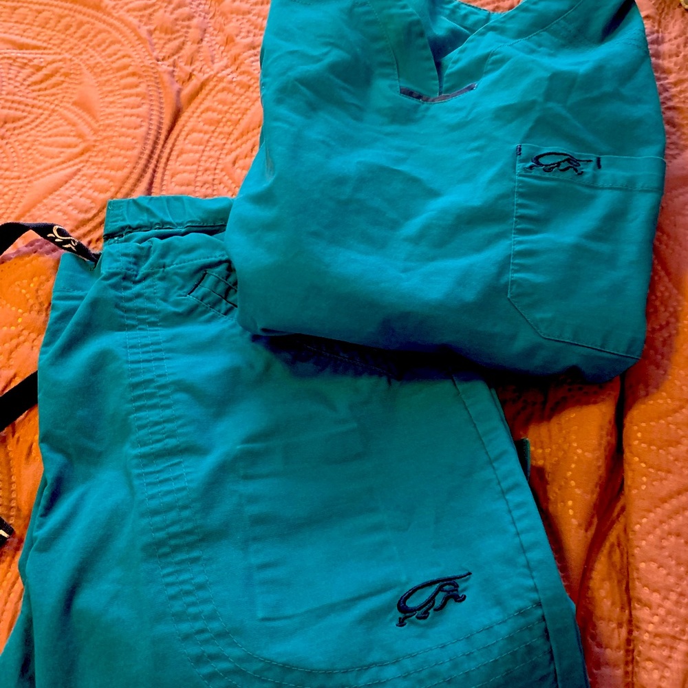 Super cute Iguana Scrubs